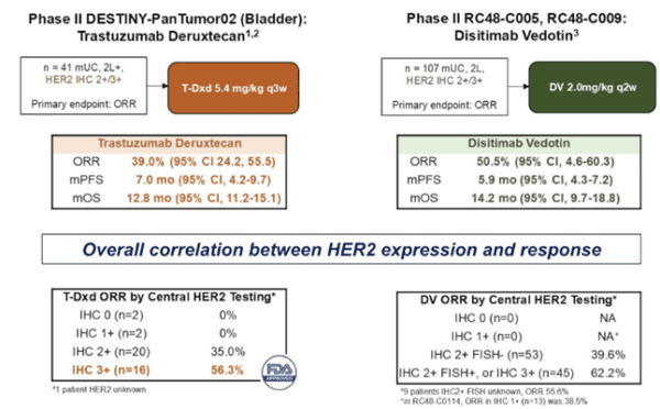 Breakthroughs in Bladder Cancer: Key Highlights from ASCO GU 2025 ...